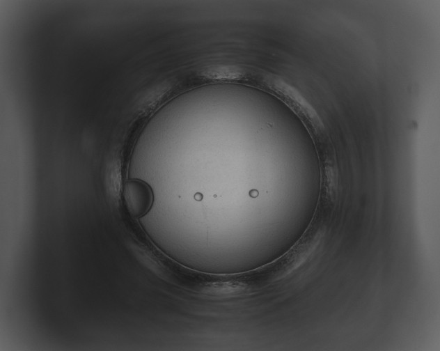 X0000103160541200808291452