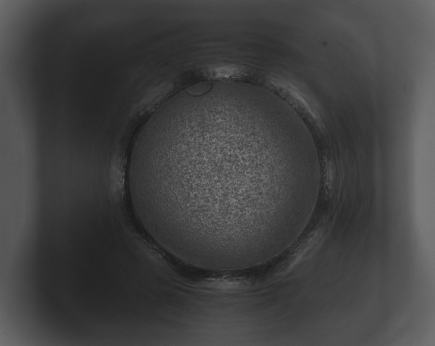 X0000103160545200808291452