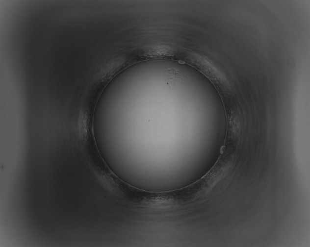 X0000103160546200808291452