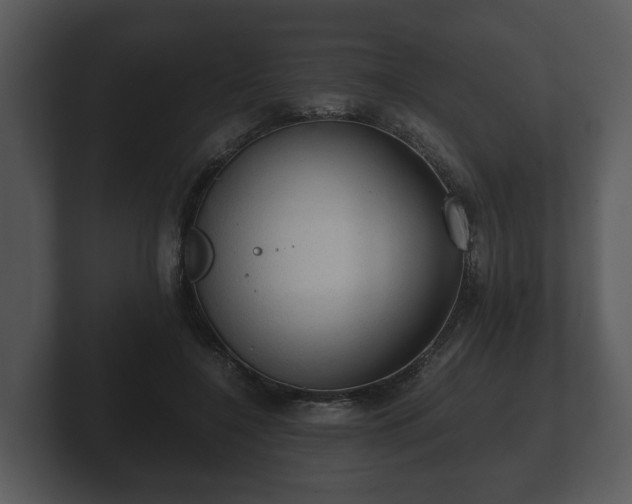 X0000103160548200808291452