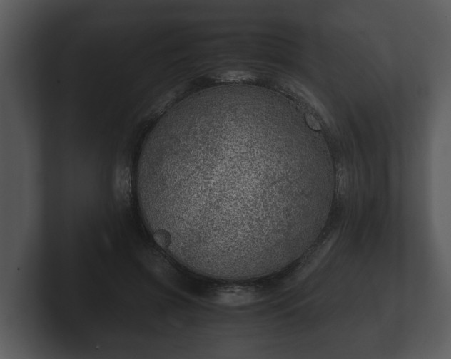 X0000103160549200808291452