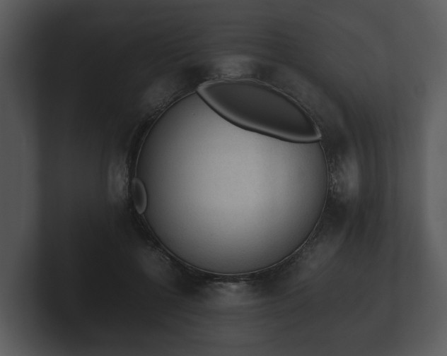 X0000103160552200808291452