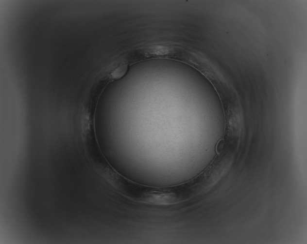 X0000103160555200808291452