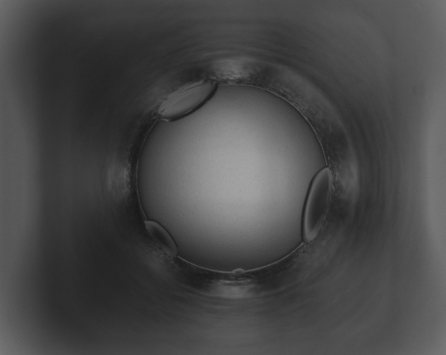 X0000103160556200808291452