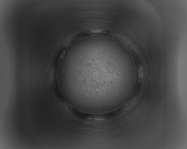 X0000103160559200808291452