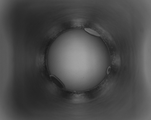 X0000103160560200808291452
