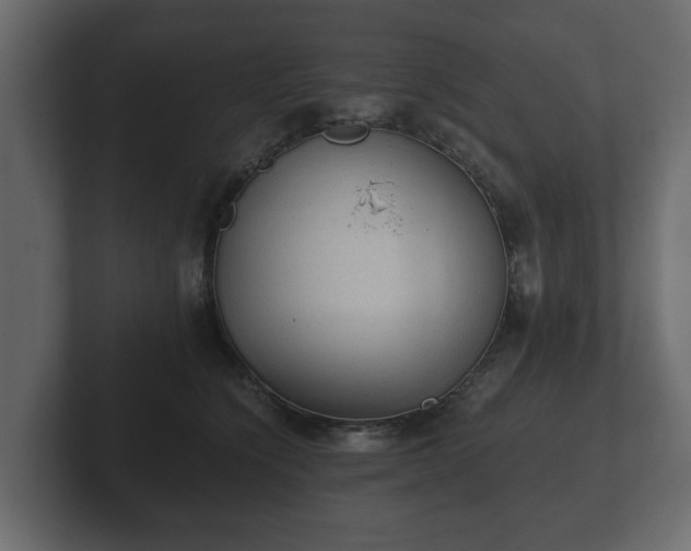 X0000103160564200808291452
