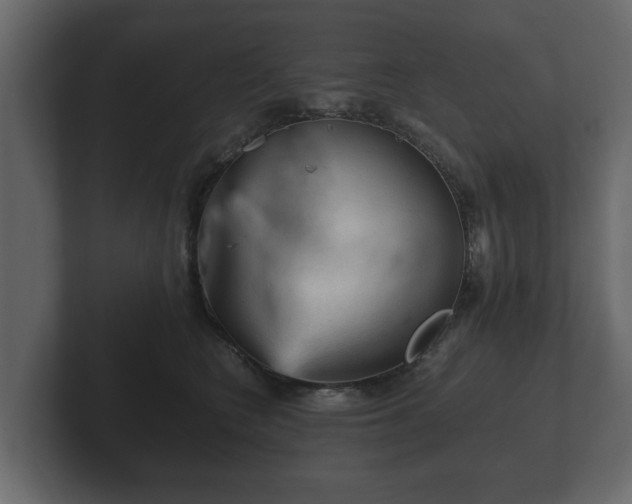 X0000103160566200808291452