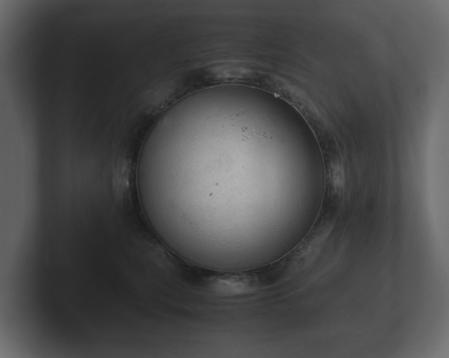 X0000103160567200808291452