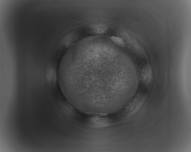 X0000103160568200808291452