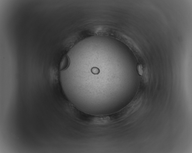X0000103160571200808291452