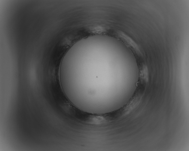 X0000103160572200808291452