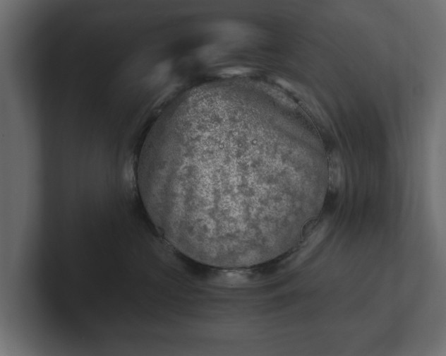 X0000103160573200808291452
