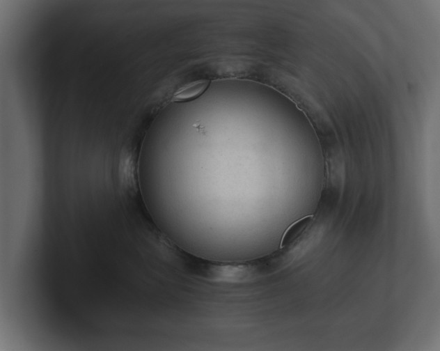 X0000103160575200808291452
