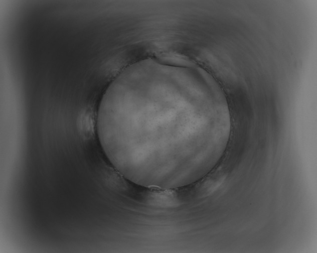 X0000103160576200808291453