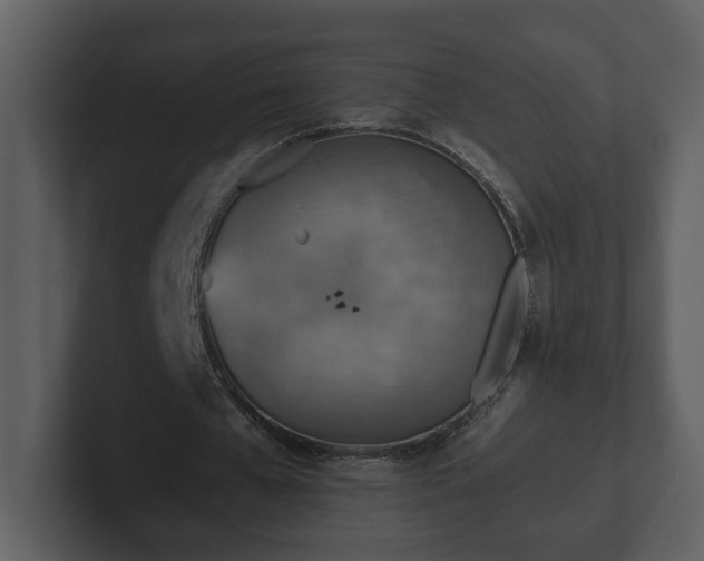 X0000103160577200808291452