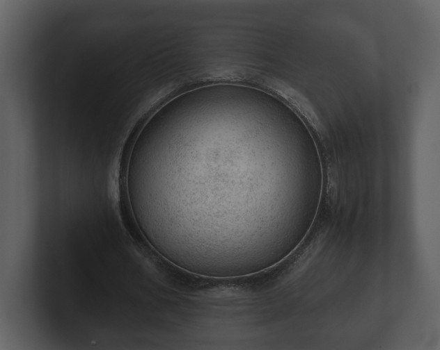 X0000103160578200808291452