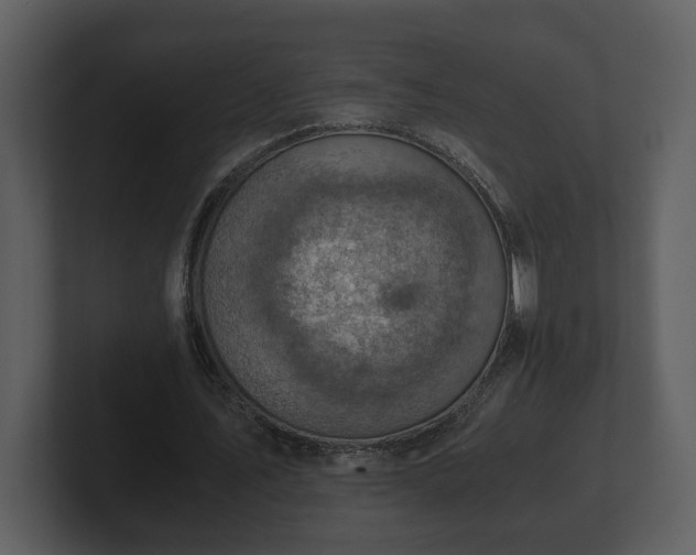 X0000103160579200808291452