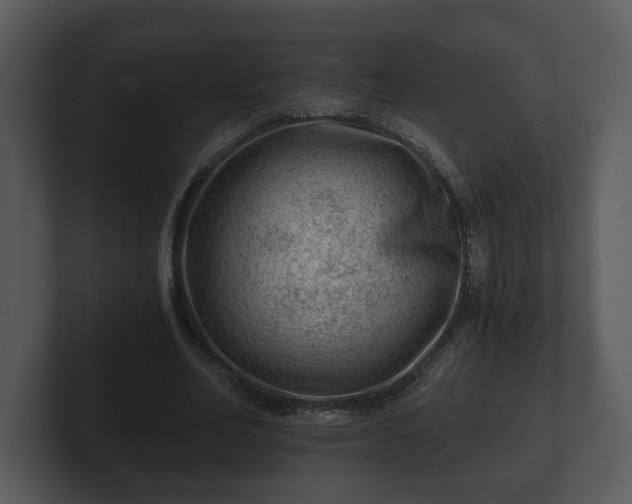 X0000103160582200808291452