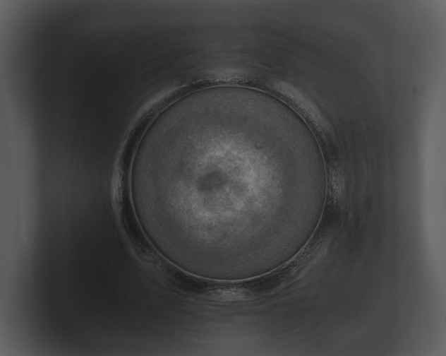 X0000103160583200808291452