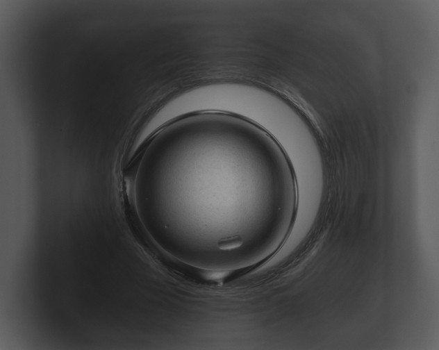 X0000103160585200808291452