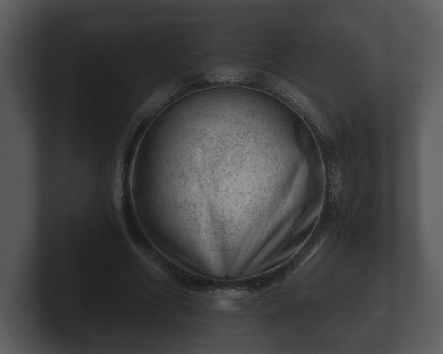 X0000103160586200808291452
