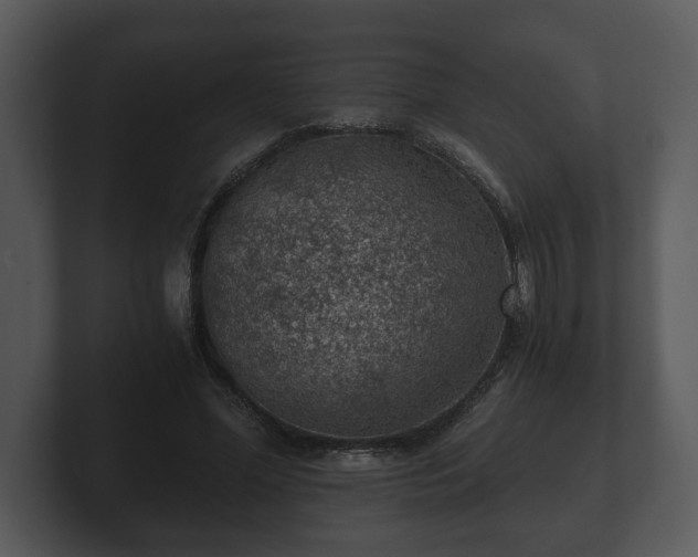 X0000103160588200808291452