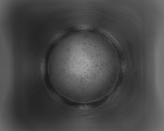 X0000103160591200808291452