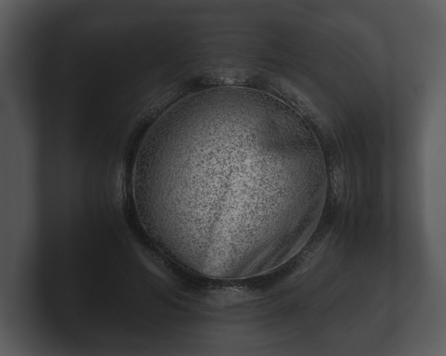 X0000103160594200808291452
