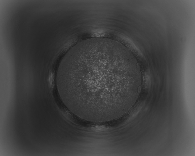 X0000103160598200808291452
