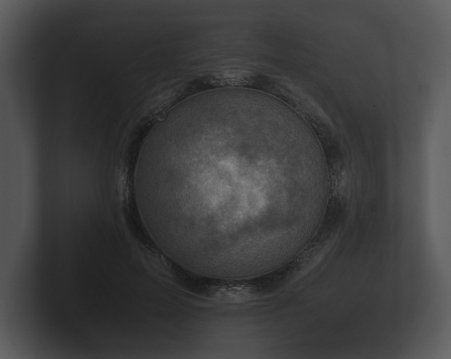 X0000103160599200808291452