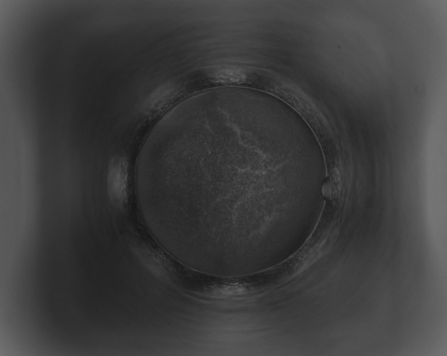 X0000103160600200808291452