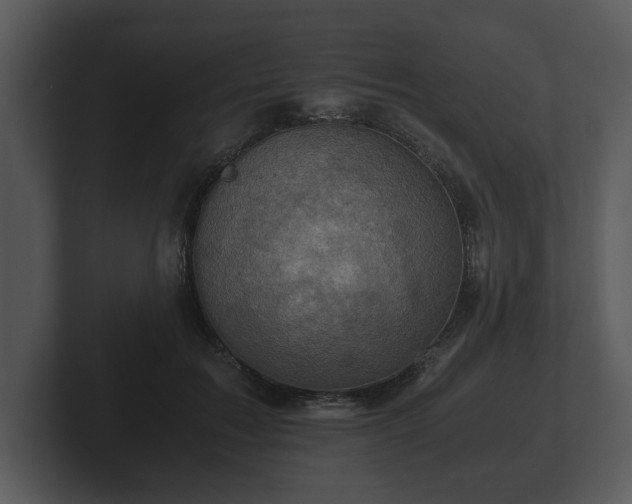 X0000103160603200808291452