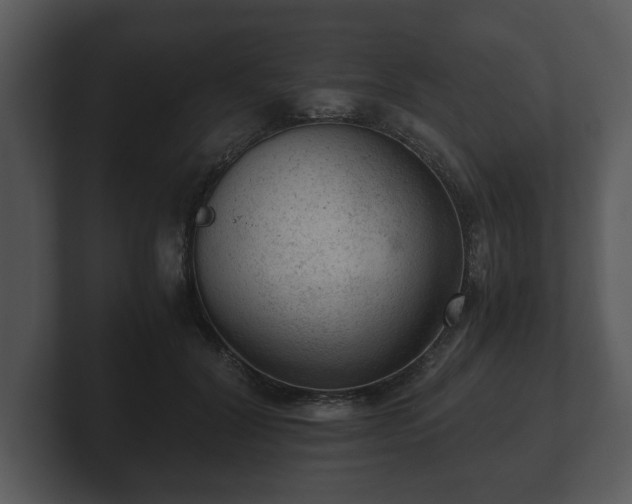 X0000103160604200808291452