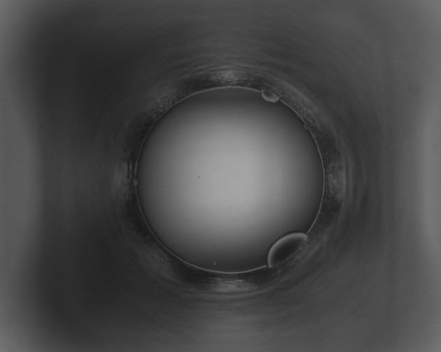 X0000103160605200808291452