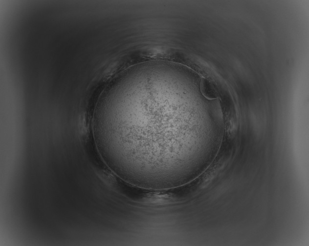 X0000103160607200808291451