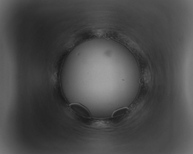 X0000103160611200808291451