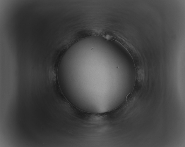 X0000103160613200808291451