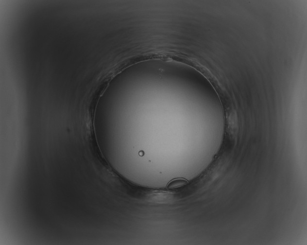X0000103160617200808291451