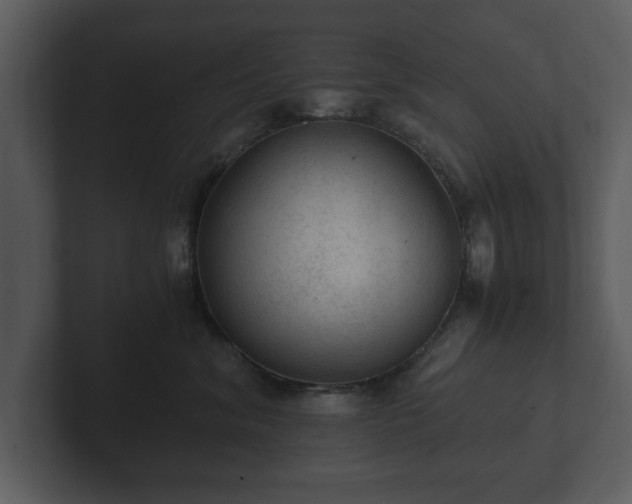 X0000103160620200808291451