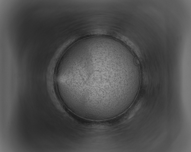 X0000103160625200808291451