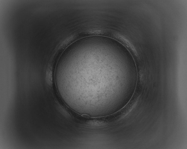 X0000103160633200808291451