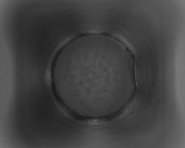 X0000103160634200808291451