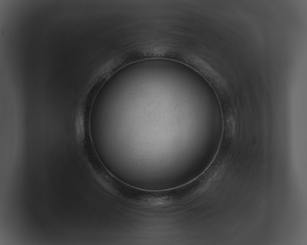 X0000103160638200808291451
