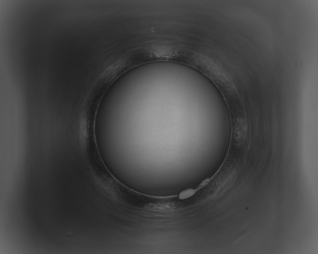 X0000103160639200808291451