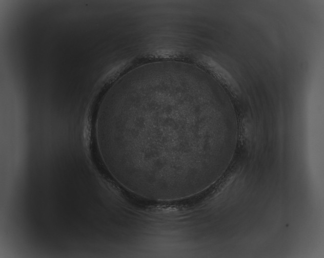X0000103160640200808291451