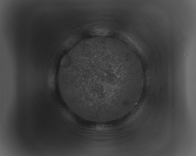 X0000103160641200808291451