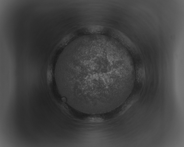 X0000103160644200808291451