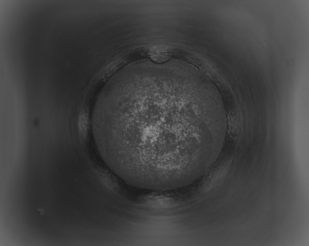 X0000103160648200808291451