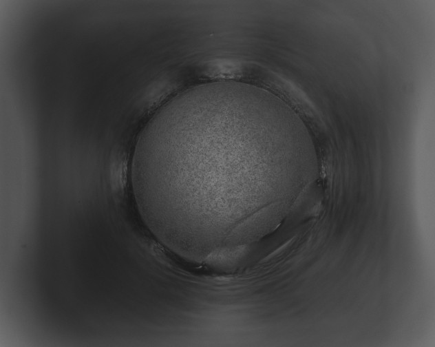 X0000103160652200808291451